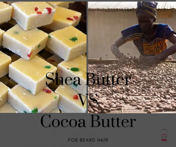 Shea Butter Vs Cocoa Butter