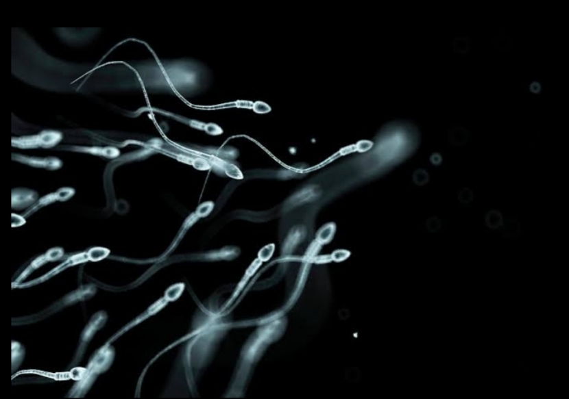 low sperm count facial hair,  does sperm make woman happy,  is sperm good for the skin and hair,  does sperm contain collagen,  can sperm on skin cause bumps, 