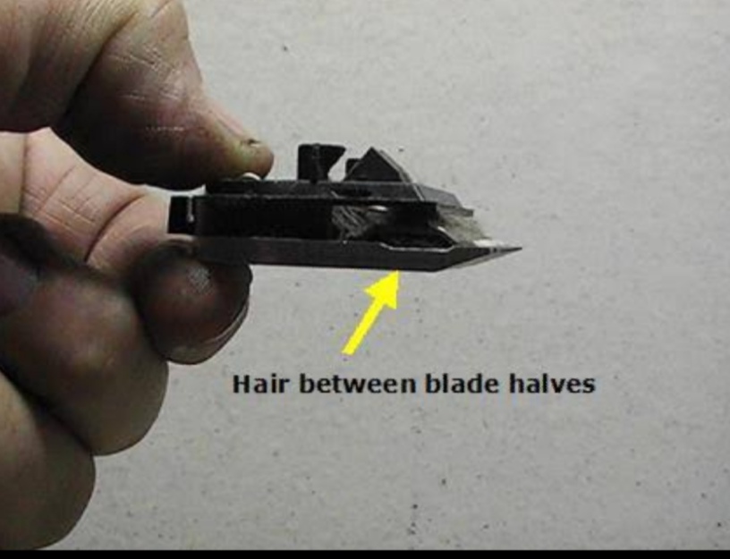 learn to sharpen clipper blades,  how to sharpen horse clipper blades,  how do self-sharpening clipper blades work,  livestock clipper blade sharpening,  how to sharpen dog clipper blades,  clipper blade sharpening wheel, 