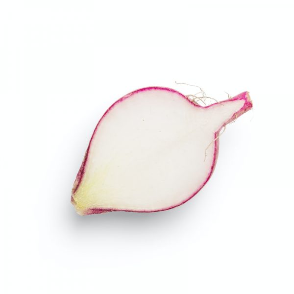 Is Onion Safe To Use For Beards